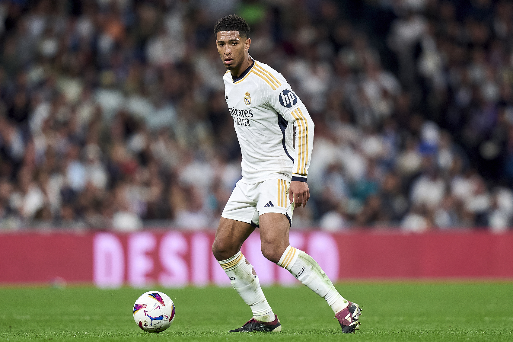 而这正是他 而这正是他