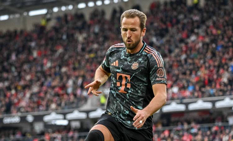 年多次的强 年多次的强