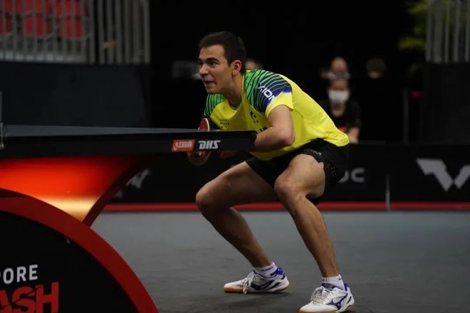 意的元素 意的元素